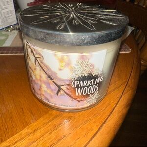 Bath & Body Works Sparkling Woods Candle - Cream and Silver